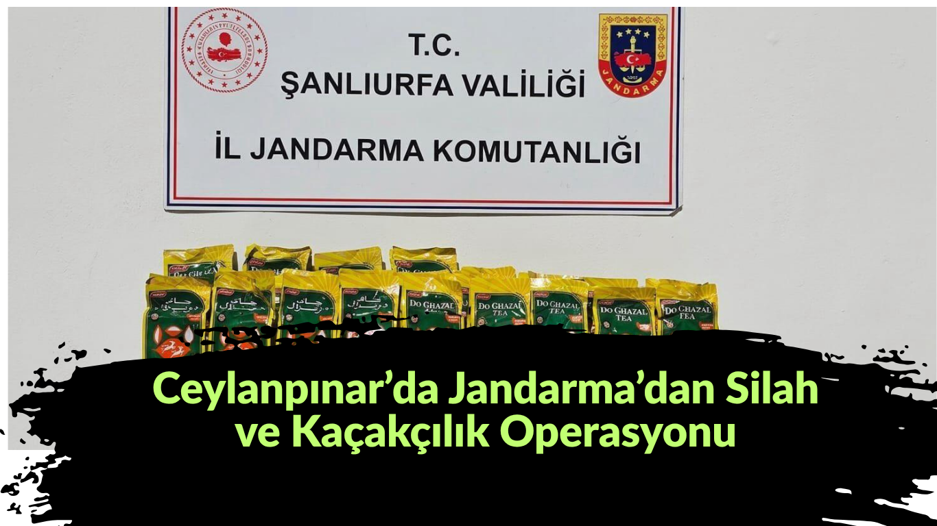 Ceylanpınar’da Jandarma’dan Silah ve Kaçakçılık Operasyonu