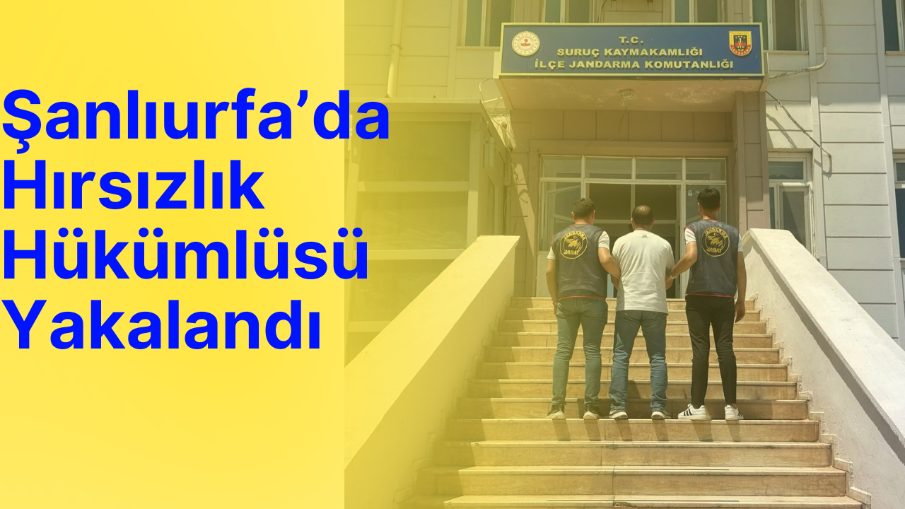 Şanlıurfa’da Hırsızlık Hükümlüsü Yakalandı