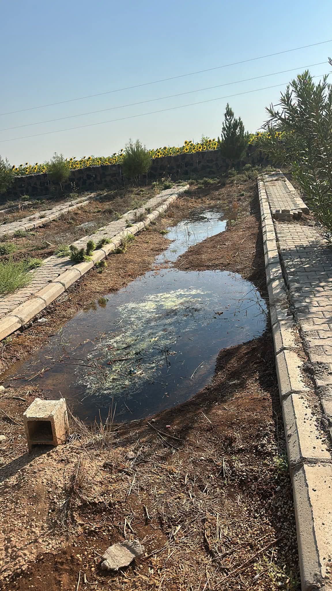 Tarım Suyu Yükseldi, Mezarlıklar Gölete Döndü: Suruç’ta Yükselen Yer Altı Su Seviyesi Kabirleri Sular Altında Bıraktı
